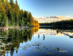 June - Lake Creek Near Troy